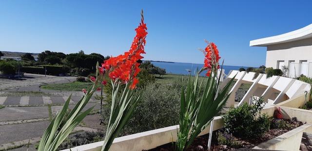 Appartement T1 La ROCHELLE vue mer